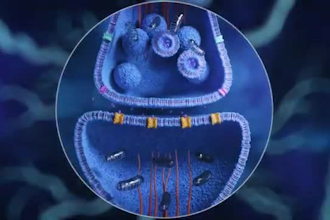 create scientific and medical 3d animated explainer video