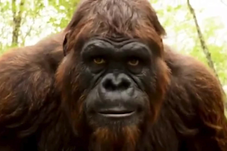 ai generated bigfoot vlog with epic narrator voice yeti vlogs