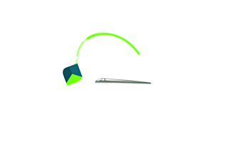 make lottie animation for web and application
