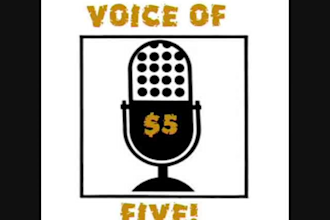 provide a professional voice over