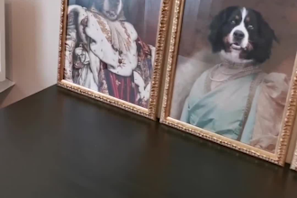 do custom royal pet portrait dog portrait cat portrait