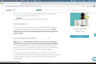 create best in class blogs for you