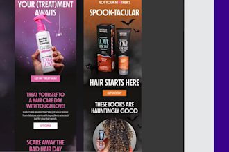 do bulk email blast, send email, email blast and cold email marketing campaign
