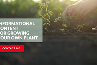 write engaging SEO gardening and houseplant articles