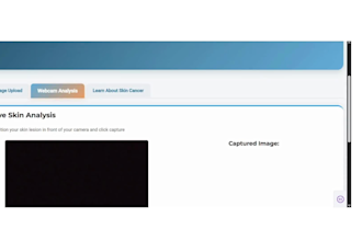 create custom object detection segmentation classification, yolo models projects
