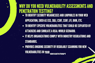 perform web application pentest and vulnerability assessment