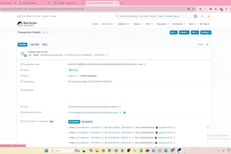 create your crypto token  holder increase