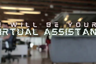 be your personal virtual assistant for data entry and admin