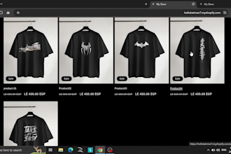 design shopify dropshipping store