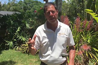 analyze and improve your golf swing