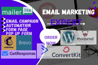 setup wordpress mailchimp brevo getresponse email marketing automation campaign