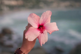 edit your vacation videos and summer memories into a engaging reel