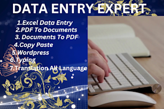do excel data entry,copy paste,translation,pdf convert etc