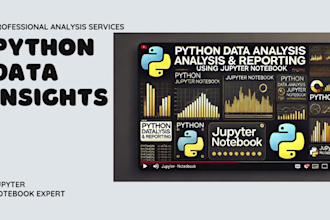 provide professional python data analysis and reporting using jupyter notebook