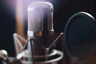 convert article into stunning video with voiceover
