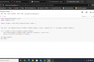 build ai machine learning dl nlp yolo model and image processing tasks
