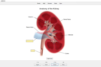 make medical anki flashcards for your lectures and exams
