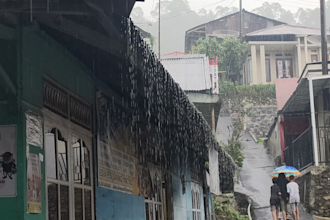 4k rain video in indonesia copyright free