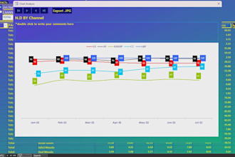 design excel graphs, excel charts, pivot table and dashboard
