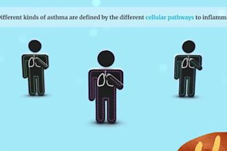 do detailed 3d dental anatomy and tooth decay animations for patient education