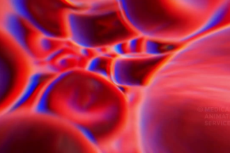 create professional good quality 3d 2d medical animation video