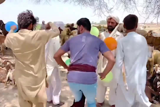 wish funny happy birthday video or  african happy birthday video