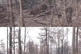 do smoke or fire vfx,green screen edit,video cleanups,colour grading,rotoscoping