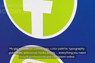 design a premium branding kit with logo fonts and colors