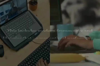 build database, deployment, apis with fastapi, django, reactjs, python