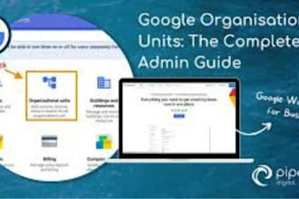 set up a professional google workspace with custom email drive and admin tools