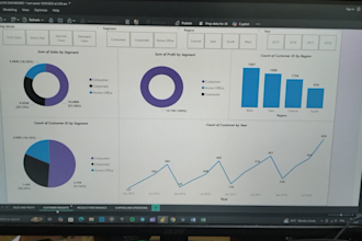 create professional excel and power bi dashboards