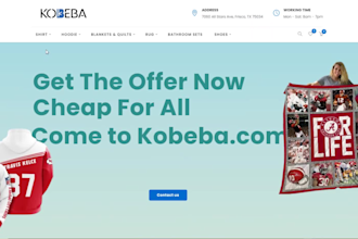 build and optimize ecommerce store wordpress website