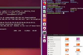 do assembly language masm ,nasm,mips  projects