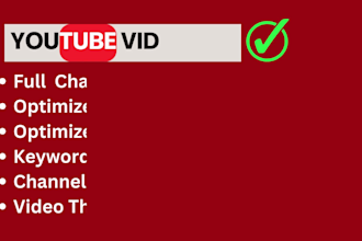 provide youtube SEO services for video optimization and  channel optimization