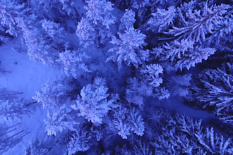 make 4k meditation and relaxing copyright free videos for youtube