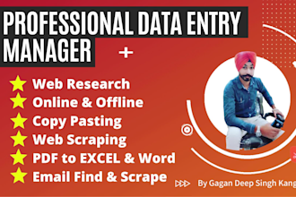 do advance data entry, web search, data collection, typing