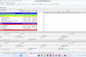 prepare work schedule using primavera p6 and ms project