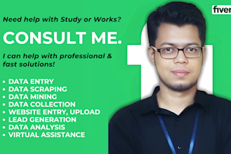 give professional solutions related to data entry, analysis, mining, scraping