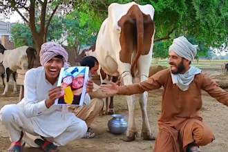 do african happy birthday video or funny happy birthday video