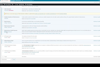 restore a pre made ecommerce website on wordpress