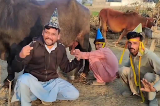 african happy birthday video african happy birthday video
