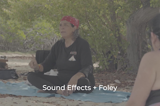 do sound desing, foley and music for films, games, ads