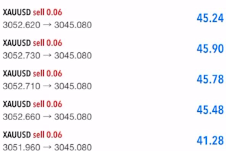 offer you profitable forex trading bot, forex bot trading bot, forex trading bot