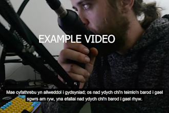 add subtitles to any video files