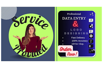 do pro data entry and custom logo design  fast and credible