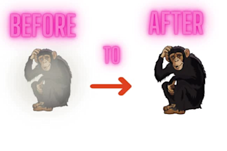 convert any raster to vector or vector tracing in 24 hours