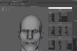do blendshape creation for realistic facial animation