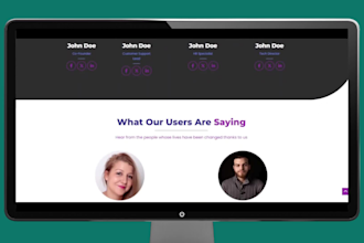 design or duplicate a professional wordpress website