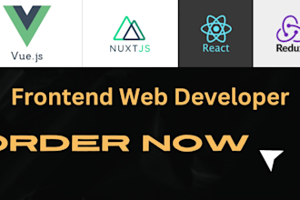 develop and fix your vue js or react js web application