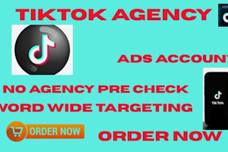 create a usa agency   usa base tiktok marketing agency